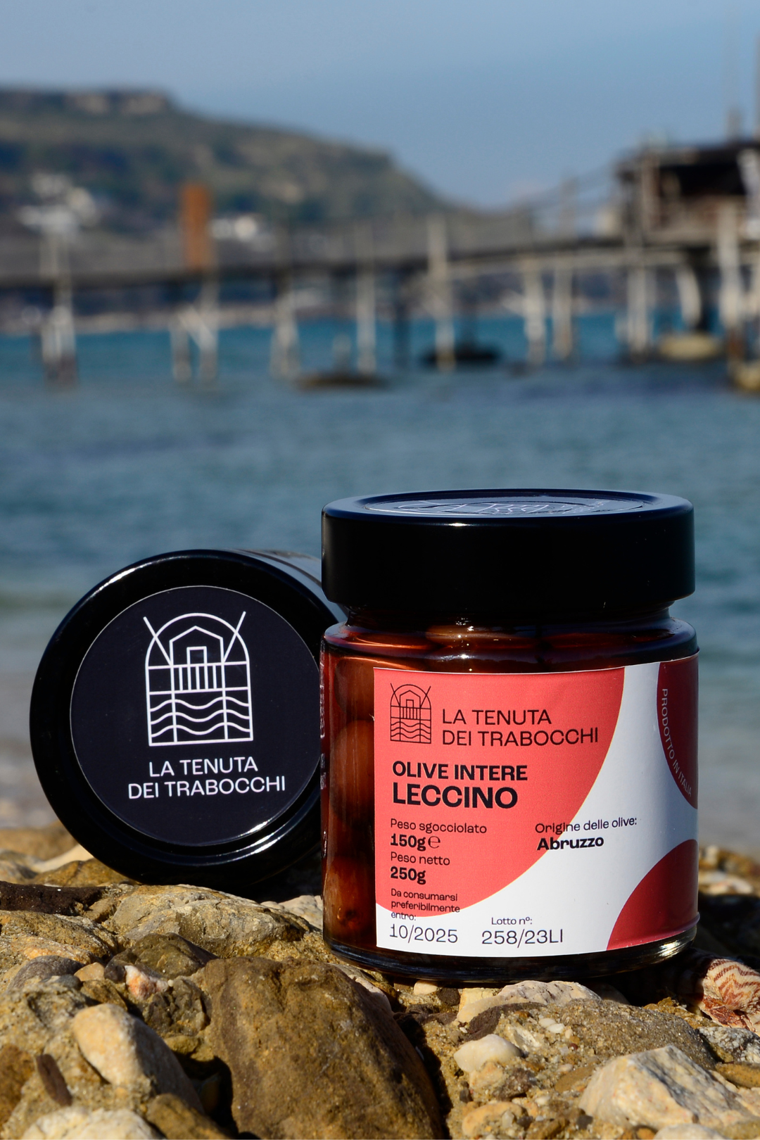 Vaso in vetro della Tenuta Dei Trabocchi contenente olive intere, leccino adagiato su una roccia con mare in fondo della costa Dei Trabocchi ed un trabocco