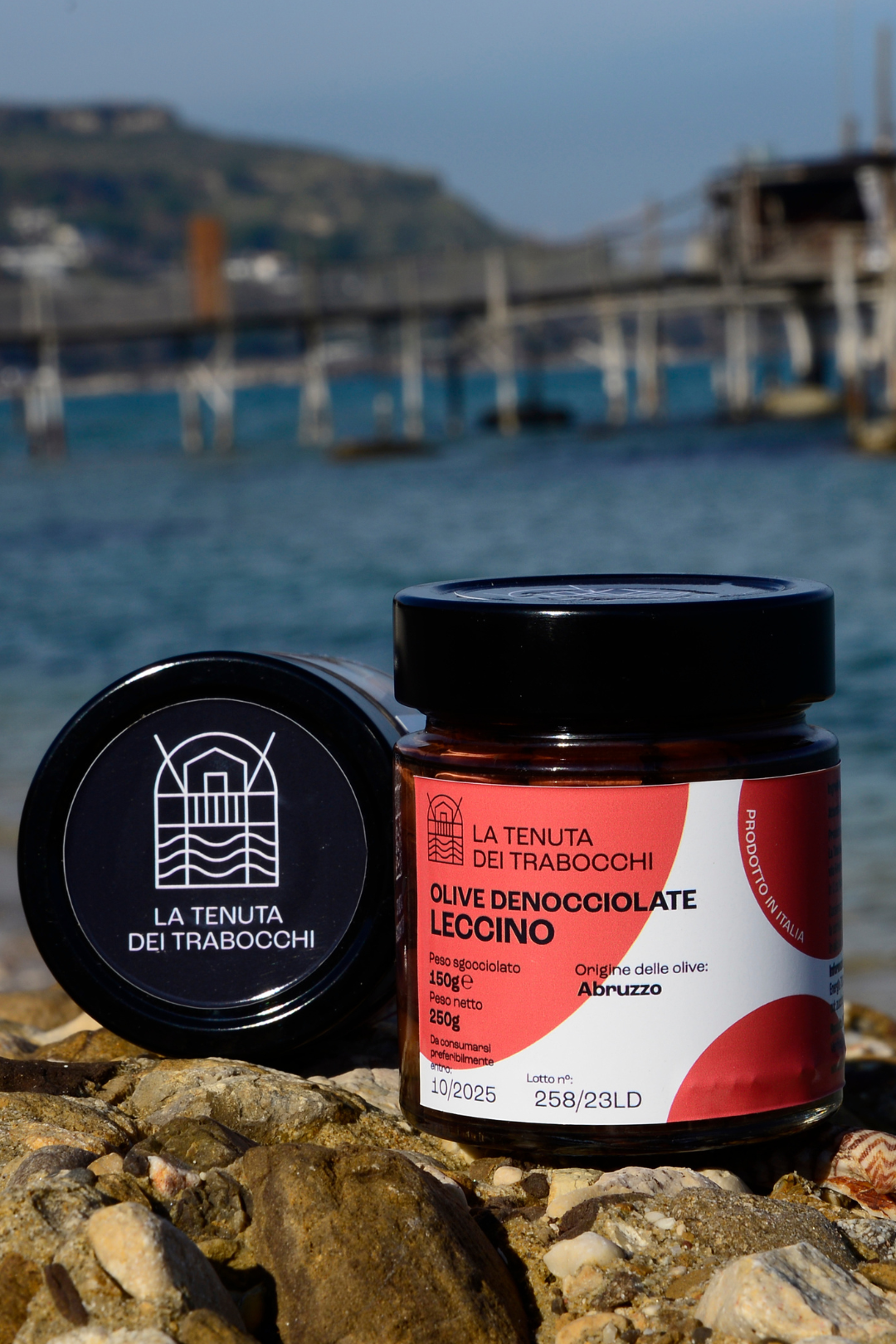 Vaso in vetro contenente olive, denocciolate varietà leccino di origine abruzzese adagiato su una roccia con mare in fondo della costa Dei Trabocchi ed un trabocco