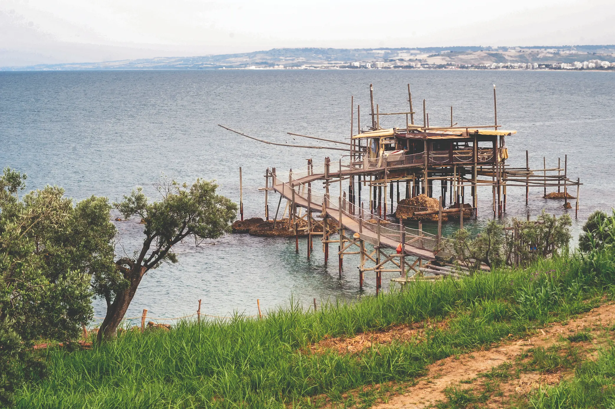 foto di ulivi sul mare con dettaglio di un trabocco di la tenuta dei trabocchi
